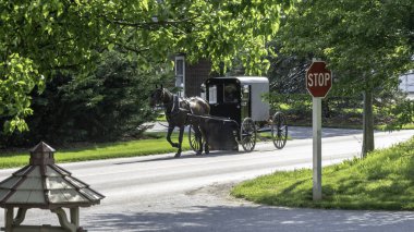 Amish At ve At Arabası Bir Yaz Günü Tatil Yolunda Seyahat Ediyor