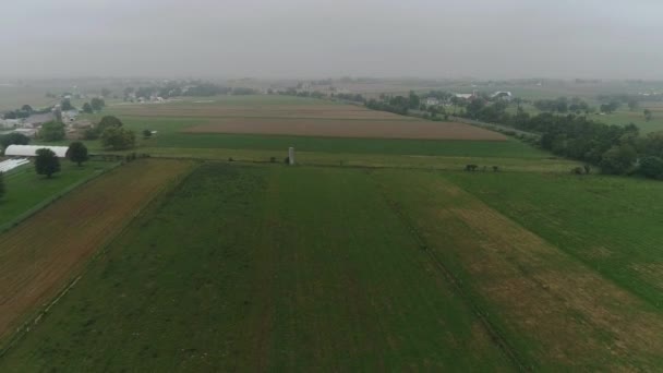 Drone Légifelvételek Amish Mezőgazdasági Földek Ámis Gazda Begyűjti Ködben — Stock videók