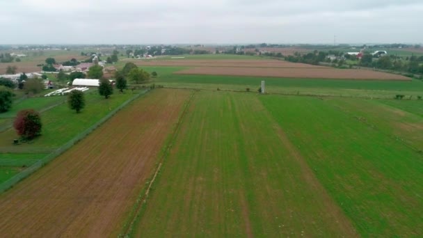 Drone Veduta Aerea Terre Agricole Amish Amish Domenica Meeting — Video Stock