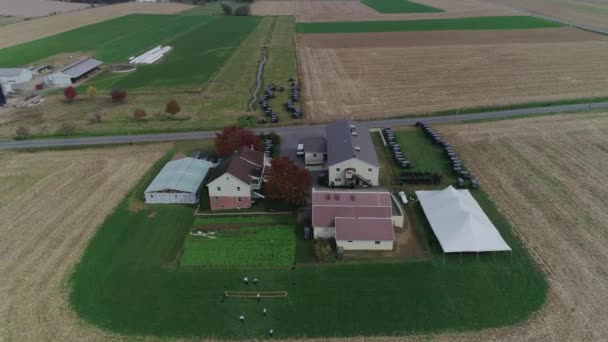 Widok Lotu Ptaka Amiszów Ślubu Amish Farm Jesienią Przechwycone Przez — Wideo stockowe