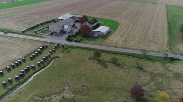 Widok Lotu Ptaka Amiszów Ślubu Amish Farm Jesienią Przechwycone Przez — Wideo stockowe