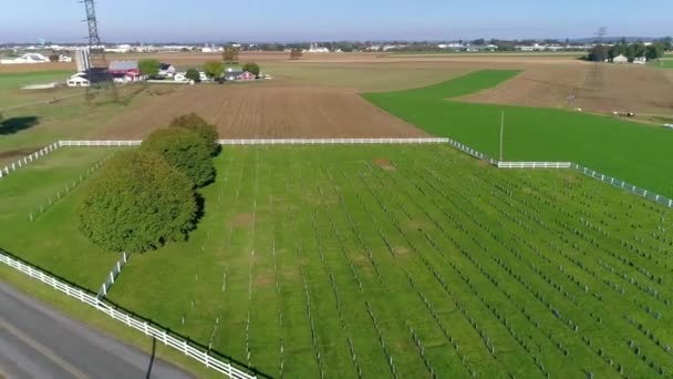 Amish Begraafplaats Platteland Zoals Gezien Door Een Drone — Stockvideo
