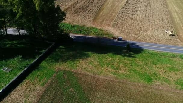 Uma Vista Aérea Cavalo Amish Buggy Tropeçando Longo Campo — Vídeo de Stock