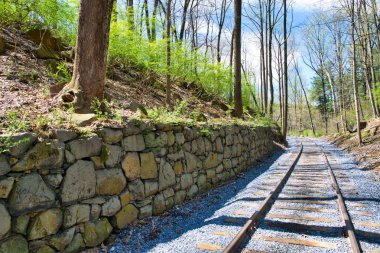 Demiryolu Raylı Yol Hakkı