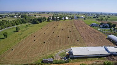 Amish Çiftçiler hasat