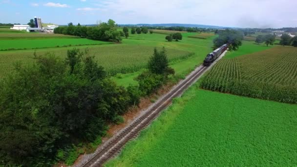 Strasburg Pennsylvania August 2017 Dampfzug Durch Amische Landwirtschaften Aus Der — Stockvideo