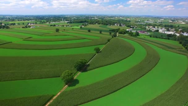 Widok Lotu Ptaka Torów Kolejowych Przez Amish Farmlands Widziany Przez — Wideo stockowe