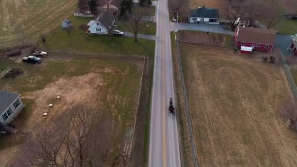 Vista Aérea Cavalo Amish Aberto Buggy Trotting Como Visto Por — Vídeo de Stock