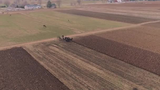 阿米什农场工人在早春的田地的鸟瞰图 由无人机看到 — 图库视频影像