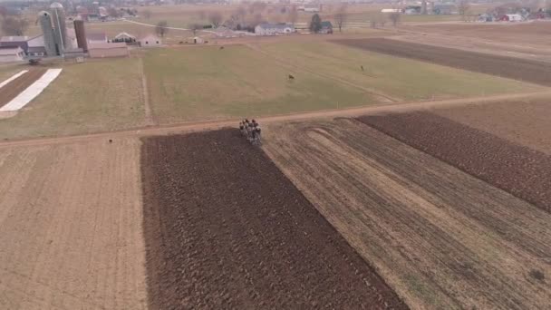 Вид Воздуха Фермера Амиша Поворачивающего Поле Ранней Весной Помощью Беспилотника — стоковое видео