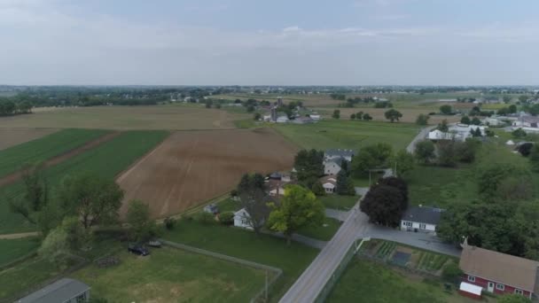 Vista Aérea Del Campesino Amish Cosechando Campo Primavera Con Caballos — Vídeos de Stock