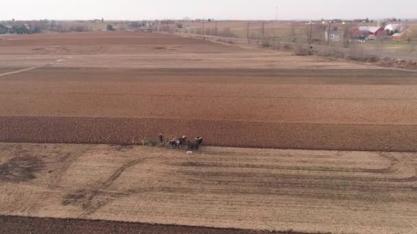 Widok Lotu Ptaka Amish Farm Worker Obracając Pole Wczesną Wiosną — Wideo stockowe