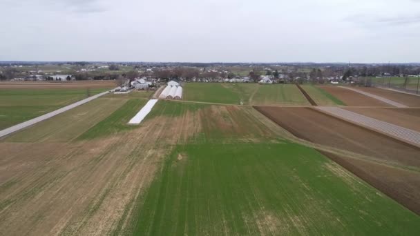 Aerial View Amish Farm Lands Being Ready New Growing Season — Stok Video