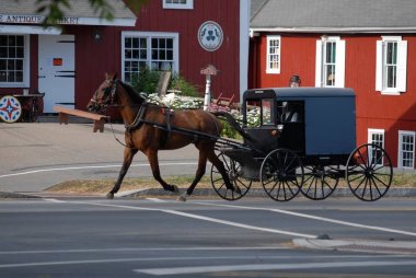 Amish at ve Buggy güneşli bir yaz gününde