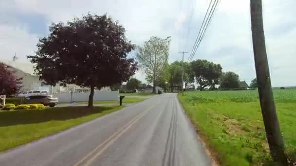 Körning Längs Amish Landsbygden Kom Över Häst Och Öppen Buggy — Stockvideo