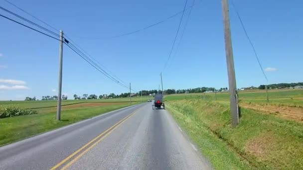 Guidare Lungo Campagna Amish Venuto Attraverso Cavallo Buggy — Video Stock