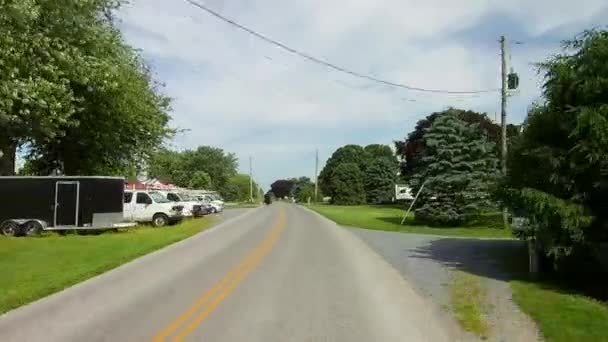 Condução Longo Campo Amish Veio Através Cavalo Buggy — Vídeo de Stock