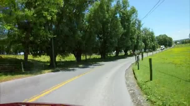 Körning Längs Amish Landsbygden Kom Över Häst Och Öppen Buggy — Stockvideo