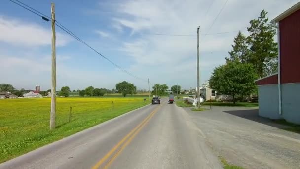 Conducir Largo Campiña Amish Llegó Través Caballo Buggy — Vídeo de stock