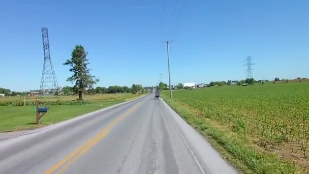 Amish Countryside Boyunca Sürüş Bir Buggy Geldi — Stok video