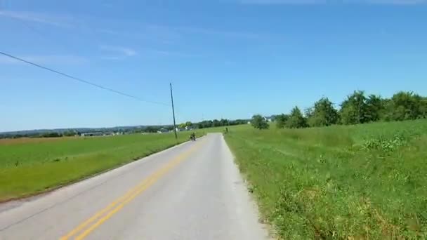 Amish Kırsal Boyunca Sürüş Bir Pony Çekti Wagon Amish Çocuklar — Stok video