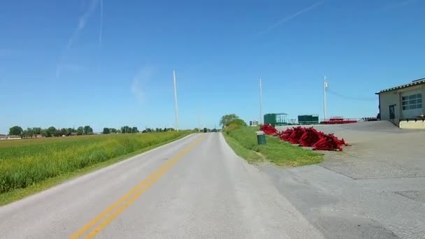 Conducir Largo Campiña Amish Llegó Través Caballo Buggy — Vídeo de stock