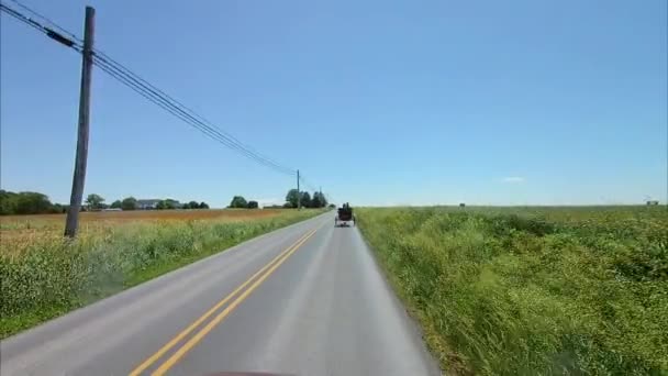 沿着阿米什乡村开车遇到一匹马和一辆敞小车 — 图库视频影像