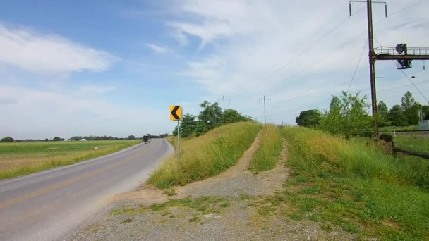 Jazda Wzdłuż Amish Countryside Przyszedł Przez Konia Buggy — Wideo stockowe