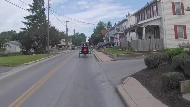 Lancaster Pensilvania Junio 2019 Conduciendo Largo Campiña Amish Cruzó Caballo — Vídeos de Stock