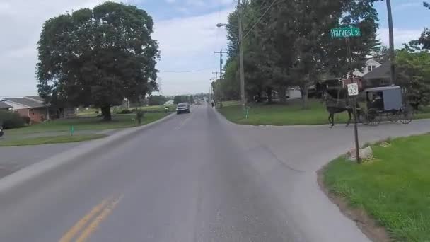 アーミッシュの田舎に沿って運転は馬とバギーに出くわした — ストック動画