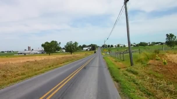 Körning Längs Amish Landsbygden Kom Över Häst Och Buggy — Stockvideo