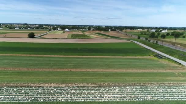 Vista Aérea Das Fazendas Amish Preparar Plantações Primavera — Vídeo de Stock