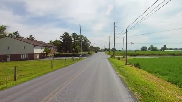 Körning Längs Amish Landsbygden Kom Över Häst Och Buggy — Stockvideo