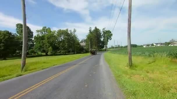Rijden Langs Amish Platteland Kwam Paarden Buggy — Stockvideo