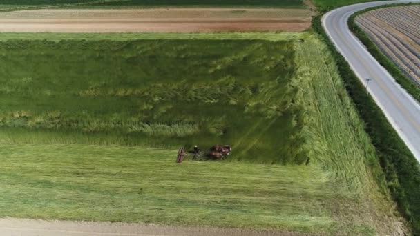 Widok Lotniczy Amish Farm Pracownik Zbiorów Wiosna Upraw Zespołem Konie — Wideo stockowe