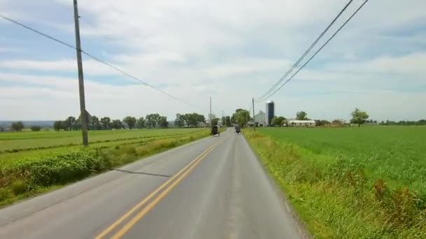 Körning Längs Amish Landsbygden Kom Över Häst Och Buggies — Stockvideo