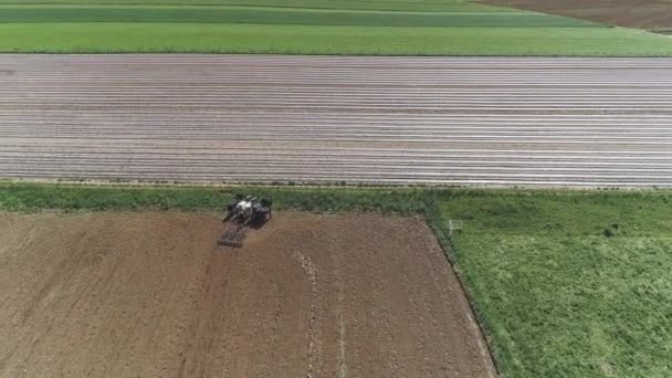 Vista Aérea Amish Farm Worker Colheita Primavera Colheita Com Equipe — Vídeo de Stock