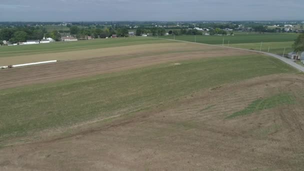 Aerial View Amish Farmer Seeding His Field Horses — Stock Video