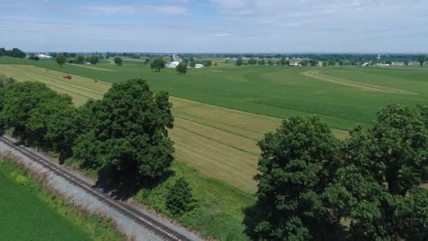 Aerial View Amish Farmer Harvesting His Crop Horses Modern Equipment — Stock Video