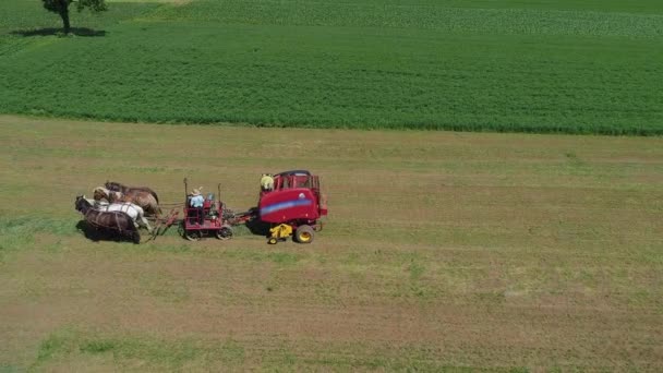 Letecký Pohled Amish Farmáře Který Sklízí Své Plodiny Koňmi Moderním — Stock video