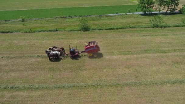 Vista Aérea Agricultor Amish Cosechando Cosecha Con Caballos Equipo Moderno — Vídeos de Stock