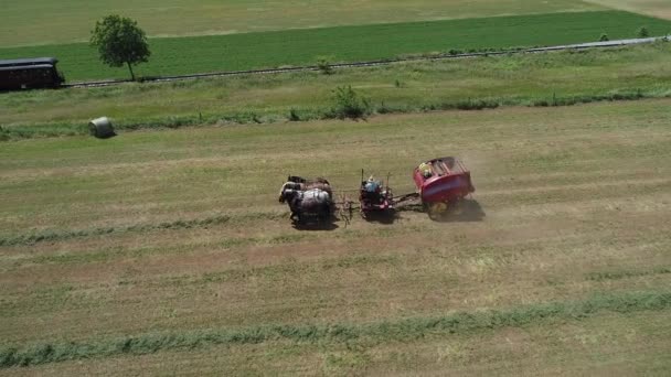 Вид Воздуха Фермера Амиша Собирающего Урожай Лошадях Современном Оборудовании — стоковое видео
