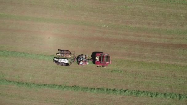 Вид Воздуха Фермера Амиша Собирающего Урожай Лошадях Современном Оборудовании — стоковое видео