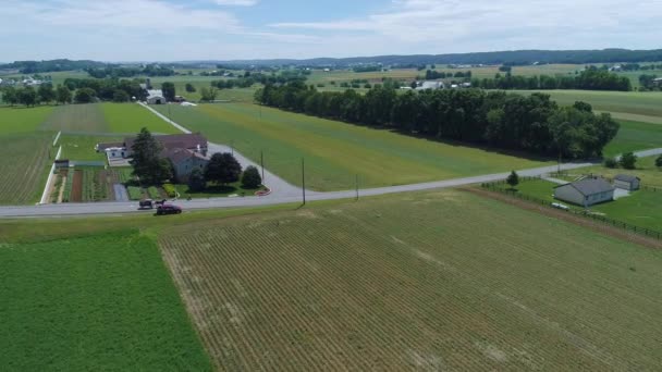 Amish Farm Land Havadan Görünümü Bir Buggy Yol Aşağı Gidiyor — Stok video