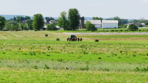 Amish Farmer Cosechando Cosecha Con Caballos Equipo Moderno — Vídeos de Stock