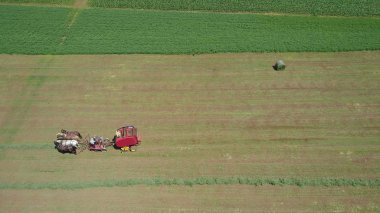 Amish Farmer 4 atlar ve modern ekipmanlar ile onun Crop hasat