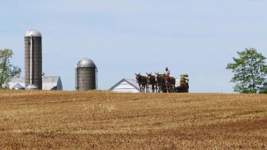 Amish Farmer 4 atlar ve modern ekipmanlar ile onun Crop hasat