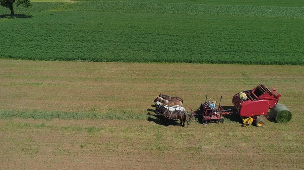 Фермер-амиш собирает урожай на 4 лошадях и современном оборудовании — стоковое фото