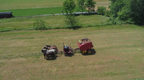 Amish Farmer skörda sin gröda med 4 hästar och modern utrustning — Stockfoto