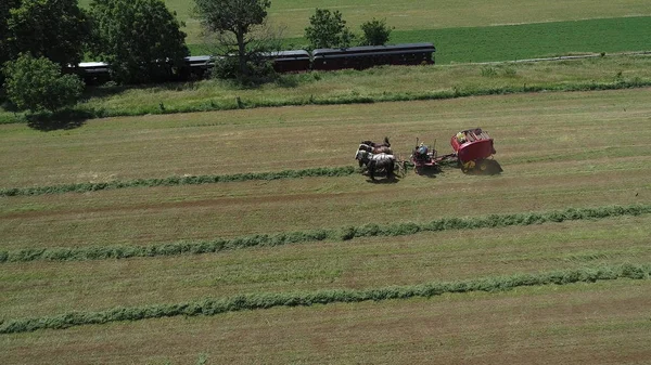 Amish Farmer skörda sin gröda med 4 hästar och modern utrustning — Stockfoto